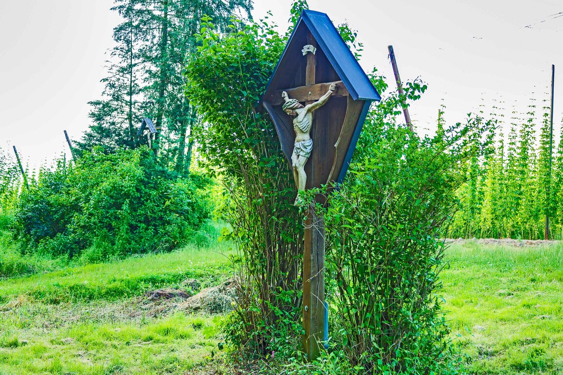 Image: 16_JA12101 Huber, Hopfengarten.jpg